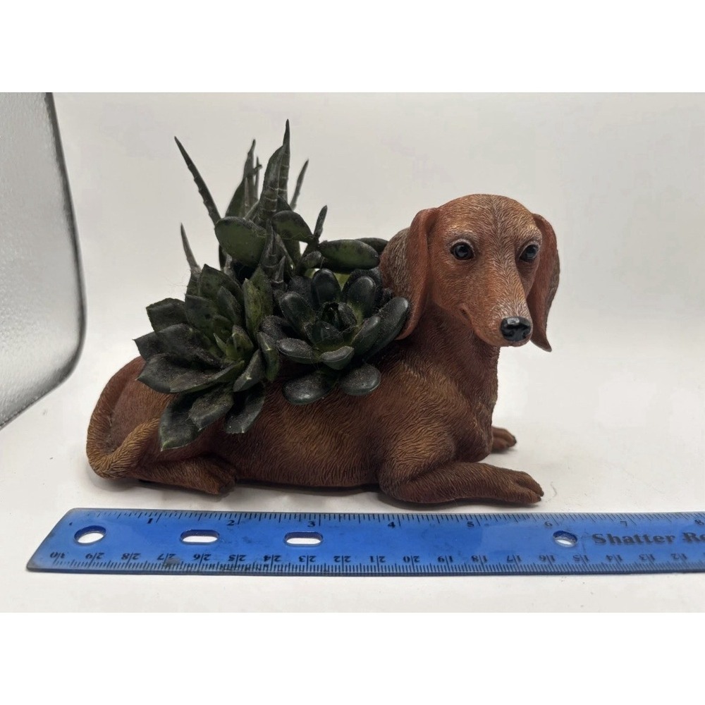 THE BRADFORD EXCHANGE  Dachshund Planter Succulents Numbered - Picture 5 of 6